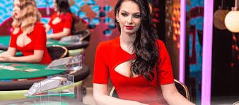 Privasi dan keamanan akun qq333bet